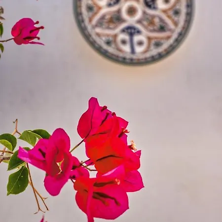 Seaside Penthouse Διαμέρισμα *